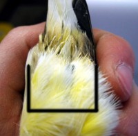 /album/norwich/%cf%83%ce%b7%ce%bc%ce%b5%ce%af%ce%bf-%ce%ba%ce%bf%cf%85%cf%81%ce%ad%ce%bc%ce%b1%cf%84%ce%bf%cf%82-jpg/